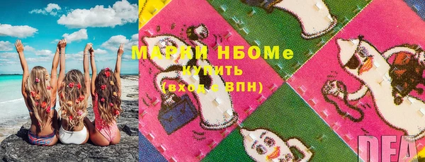 стаф Сосновоборск