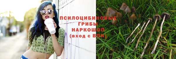 гашик Верхнеуральск