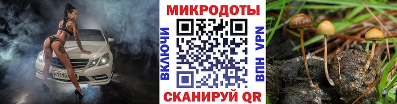 гидра онион  Себеж  Псилоцибиновые грибы прущие грибы 